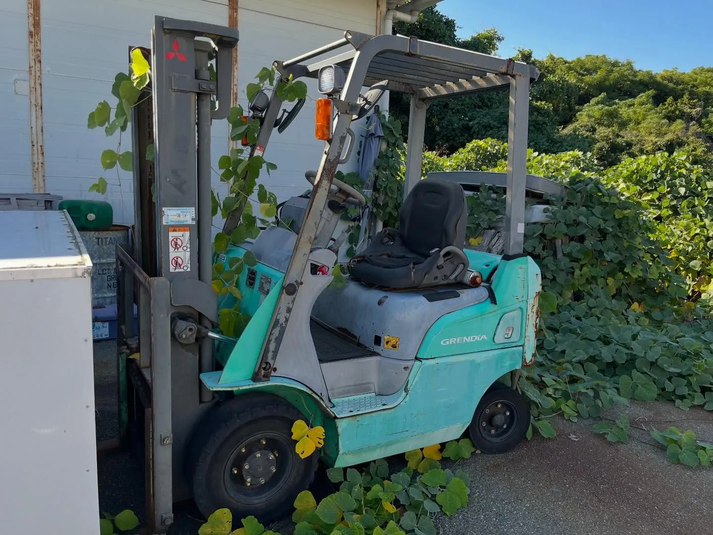 買取の御依頼感謝致します。