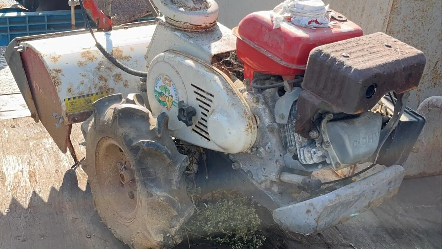 買取依頼感謝致します。